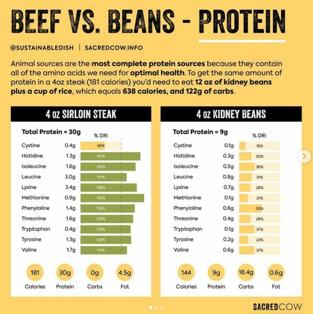 Blog 2 Beef vs Beans Protein