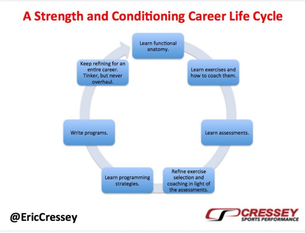 SC Career Life Cycle Cressey