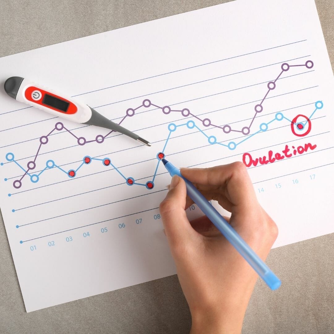 Ovulation